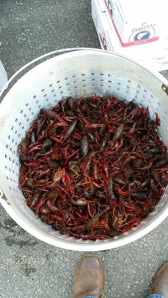 Good Hope Grocery | restaurant | 2253 Co Rd 437, Cullman, AL 35057, USA | 2567392591 OR +1 256-739-2591