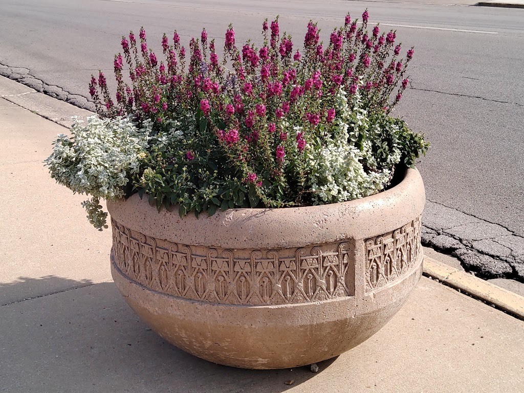 El Pollo Giro #3 | restaurant | 33 N Lake St, Aurora, IL 60506, USA | 6308448100 OR +1 630-844-8100