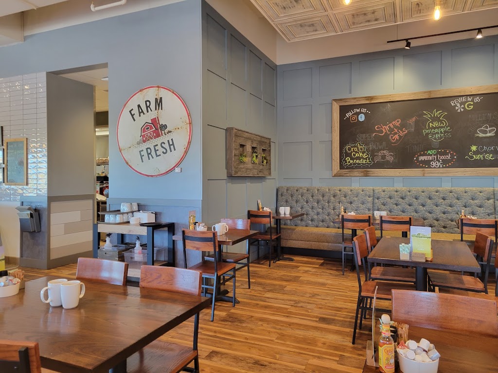 First Watch | cafe | 2111 N Power Rd, Mesa, AZ 85215, USA | 6023469627 OR +1 602-346-9627