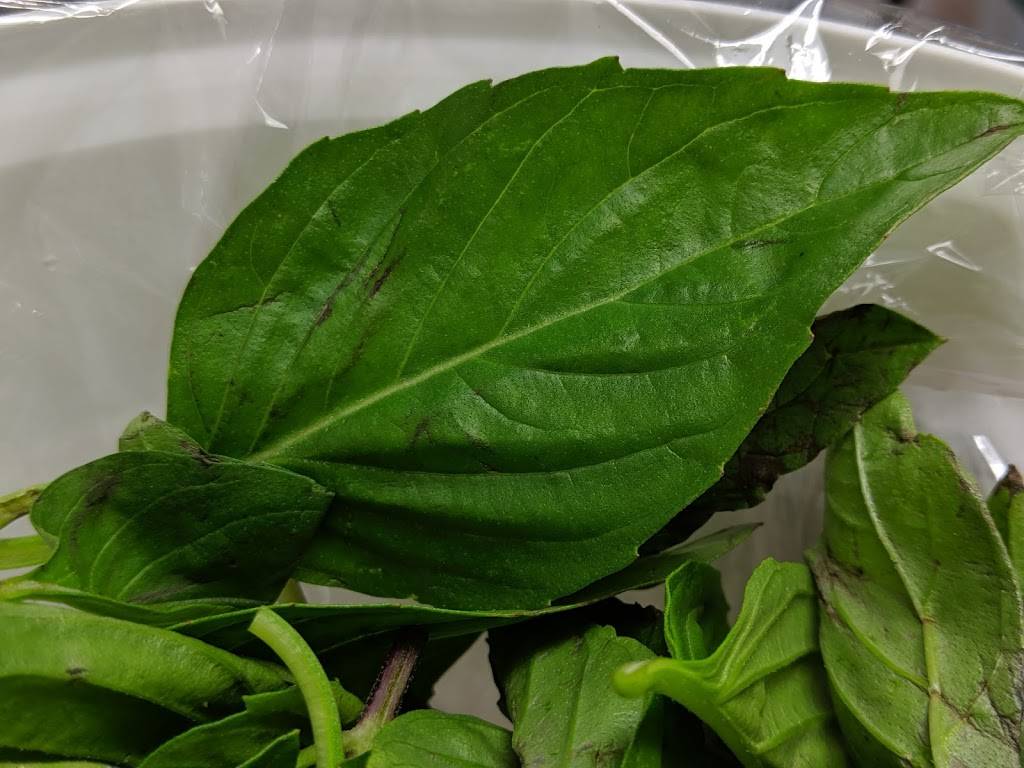 Mais Thai | restaurant | 820 Michigan St NE, Grand Rapids, MI 49503, USA | 6164513441 OR +1 616-451-3441