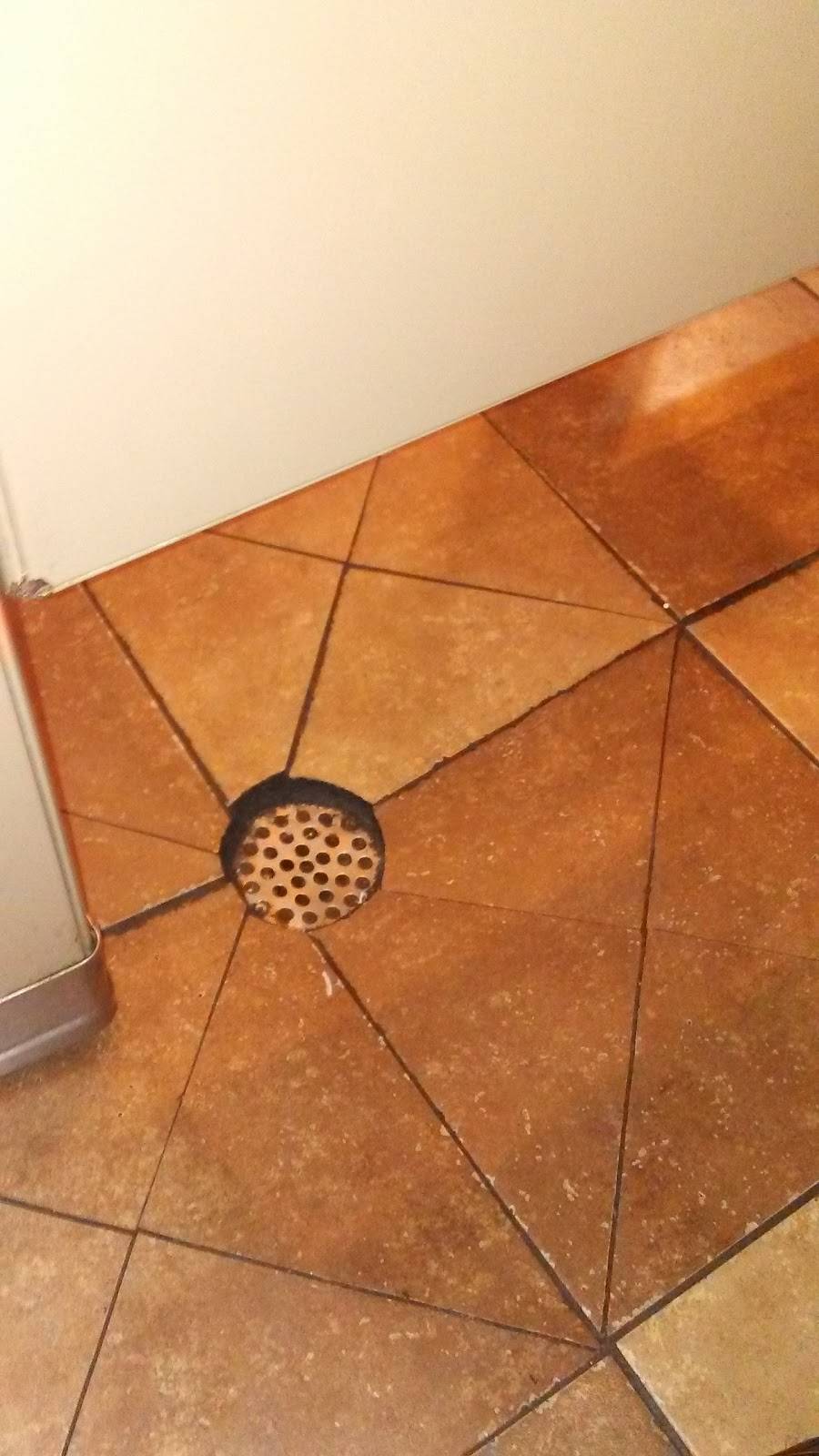 Dairy Queen | restaurant | 1701 W Pecan St, Pflugerville, TX 78660, USA | 5122516858 OR +1 512-251-6858