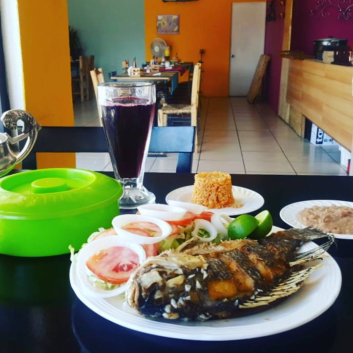 Finca Palma Real | restaurant | Boulevard Tercer Ayuntamiento, Los Valles, B.C., Mexico | 016645247461 OR +52 664 524 7461