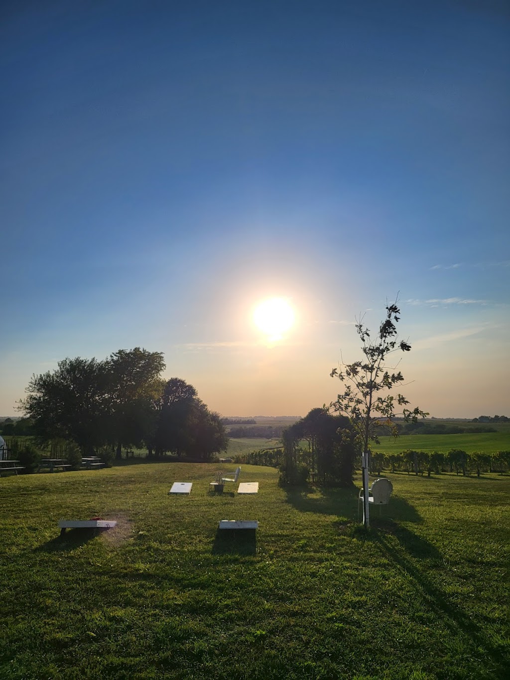 Walker Homestead Farm and Winery | restaurant | 3867 James Ave SW, Iowa City, IA 52246, USA | 3193514791 OR +1 319-351-4791