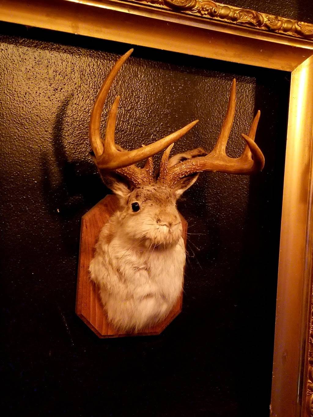 The Toledo | restaurant | 1628 Dexter Ave N b, Seattle, WA 98109, USA | 2063973385 OR +1 206-397-3385