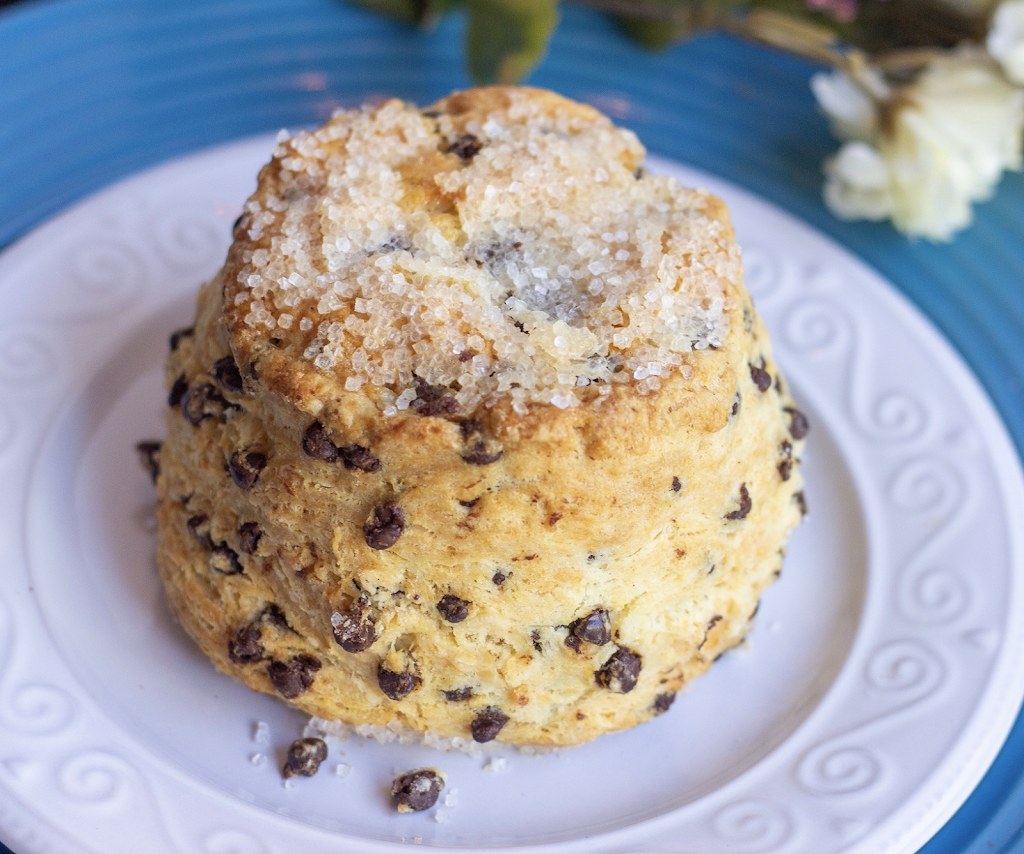 Hometown Bake Shop | bakery | 16 Havens Ave, Patchogue, NY 11772, USA | 6316541102 OR +1 631-654-1102