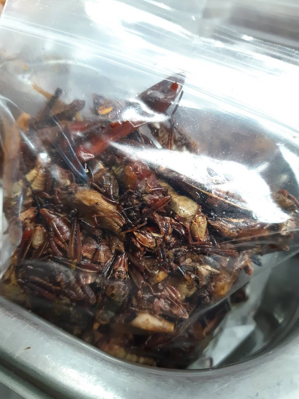 La Salsa Mexican Food | restaurant | 8012 S Tacoma Way, Tacoma, WA 98499, USA | 2069609223 OR +1 206-960-9223