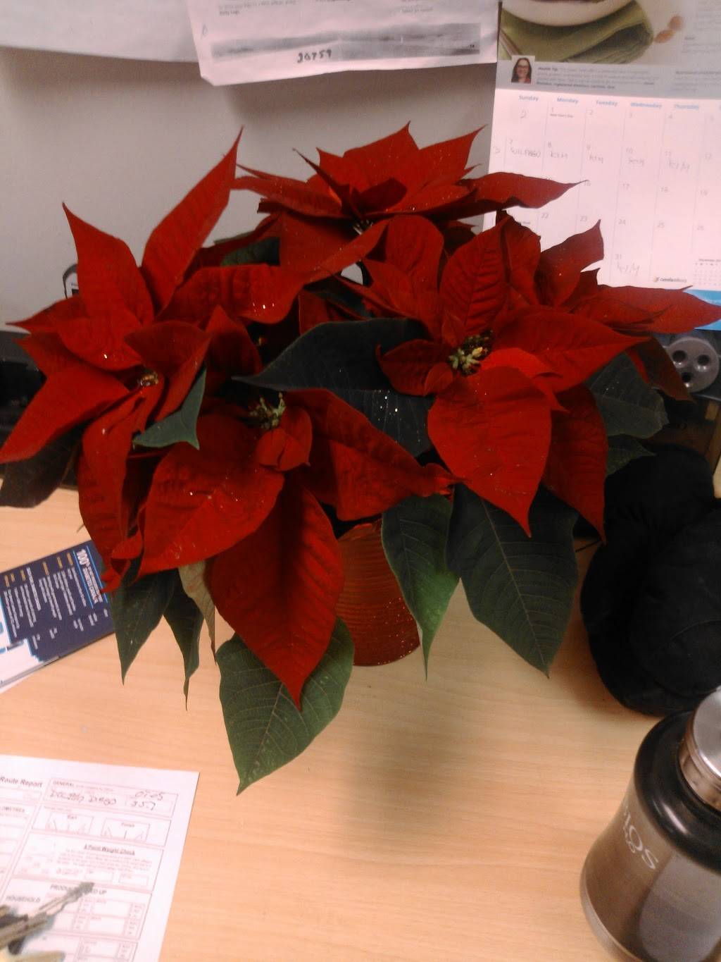 South Asian Connection | restaurant | 121 Waterbridge Dr, Nepean, ON K2G 7C2, Canada | 6132404116 OR +1 613-240-4116