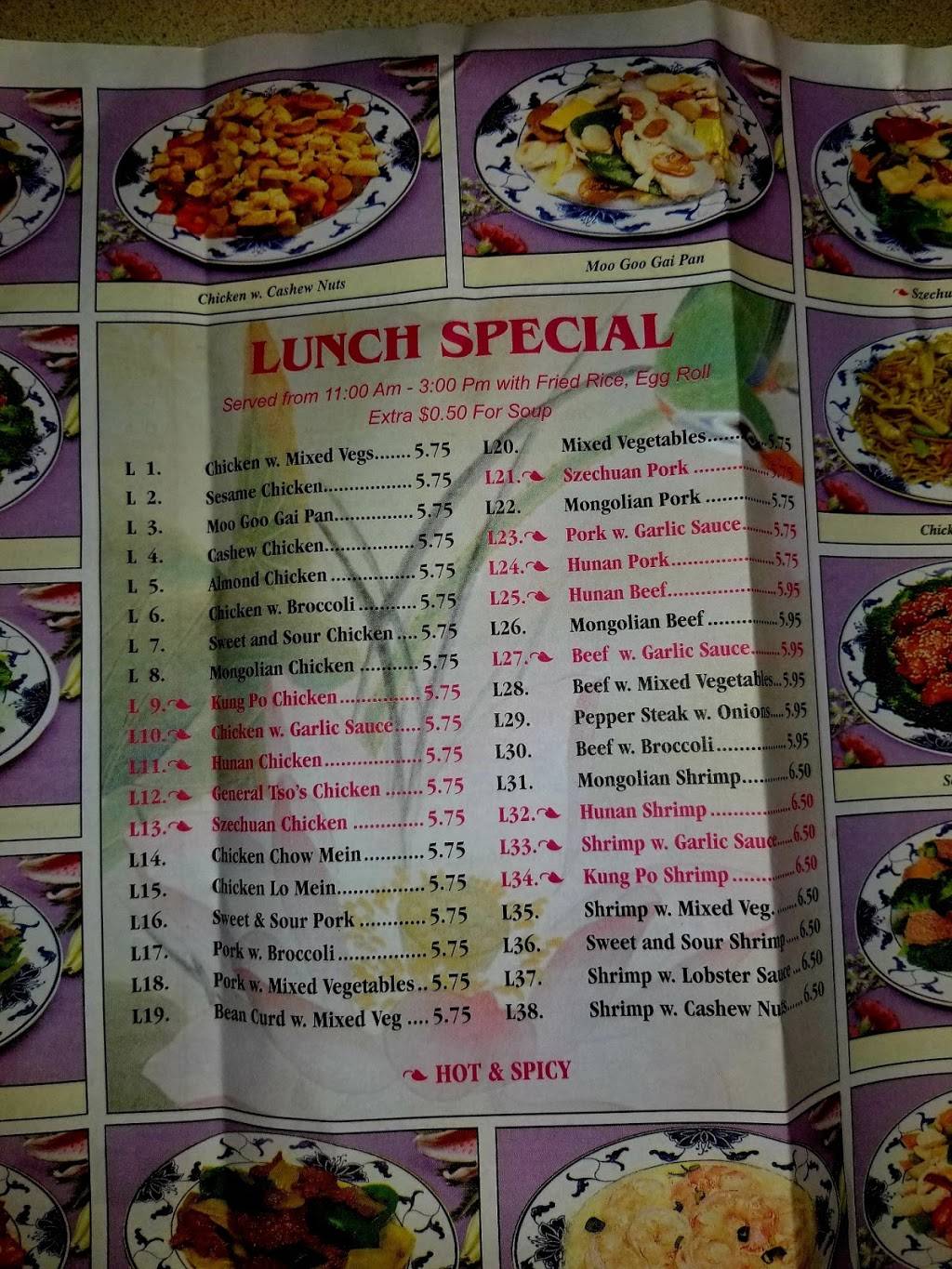 New China Garden | restaurant | 10569 Old Hwy 280, Chelsea, AL 35043, USA | 2056782828 OR +1 205-678-2828