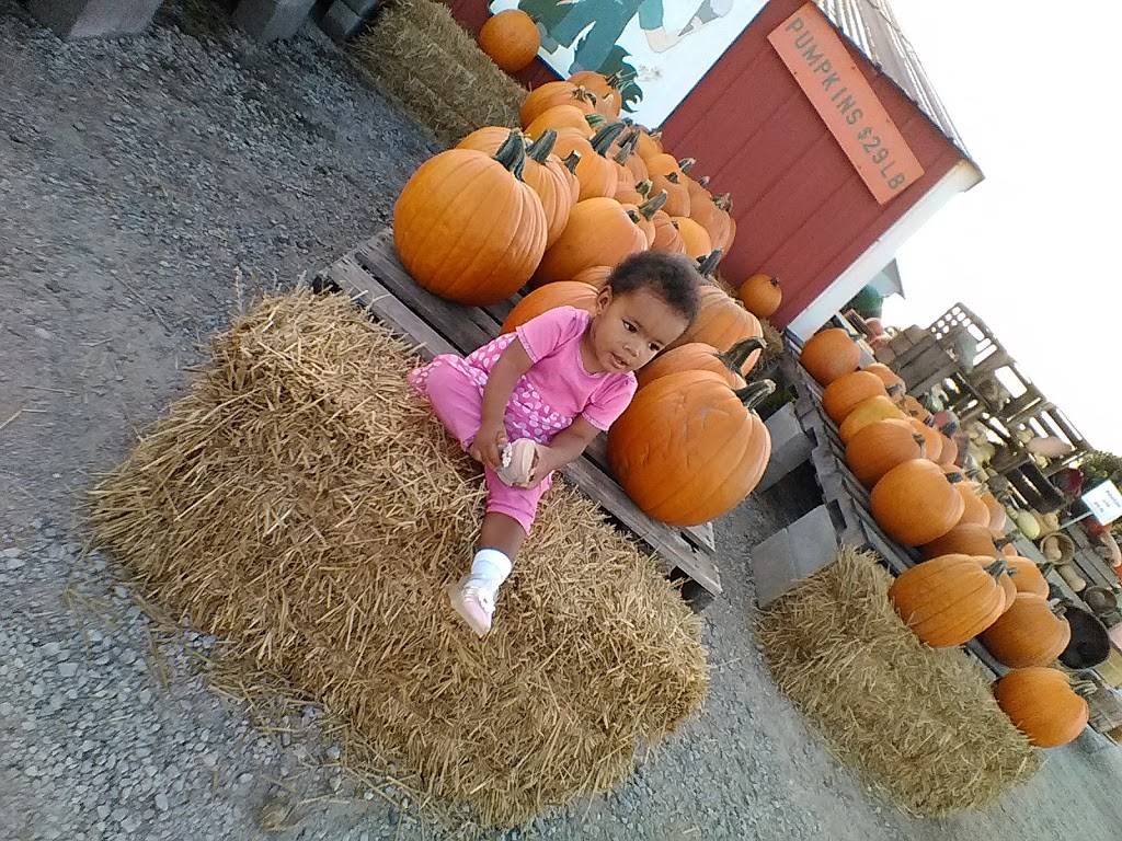 Fashion Farm Inc | restaurant | 1680 Lincolnway W, Ligonier, IN 46767, USA | 2608944498 OR +1 260-894-4498