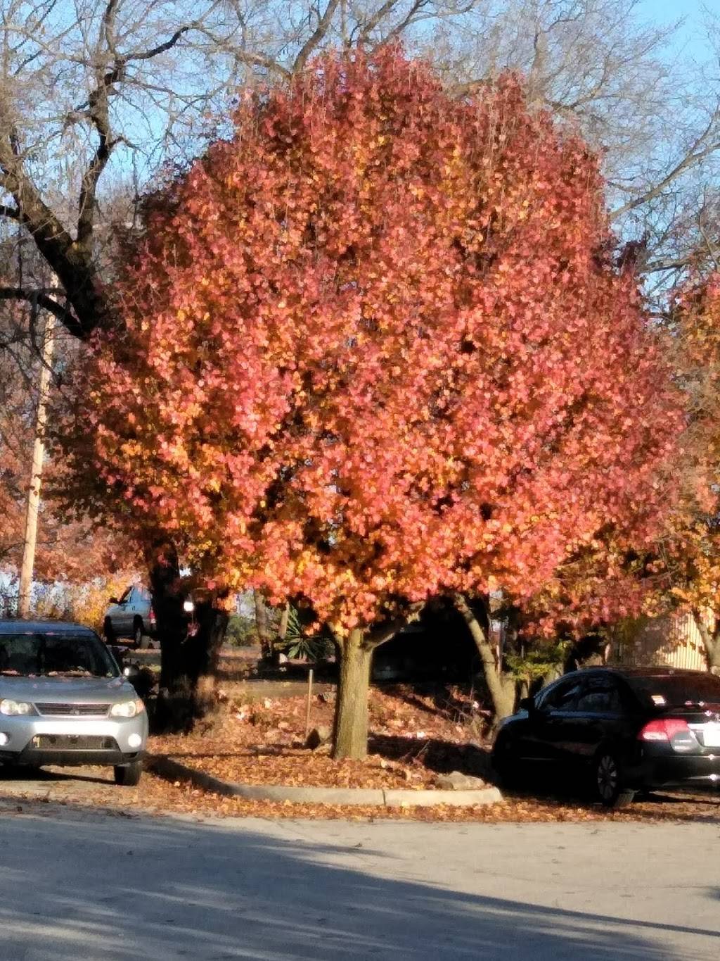 Subway Restaurants | restaurant | 2788 W Andrew Johnson Hwy, Morristown, TN 37814, USA | 4235872179 OR +1 423-587-2179