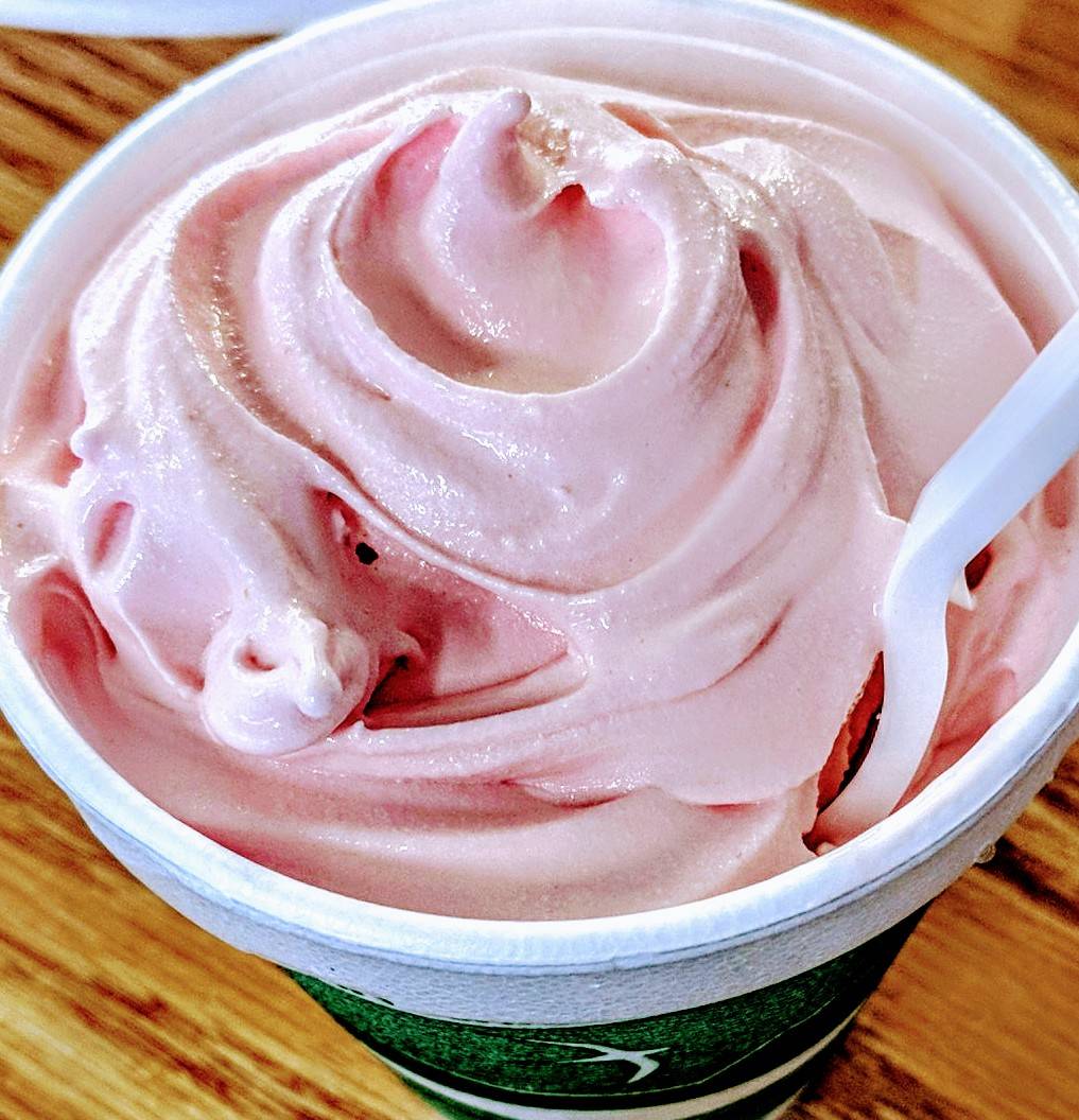 Dairy Chef | restaurant | 400 E 17th St, Syracuse, NE 68446, USA | 4022692669 OR +1 402-269-2669