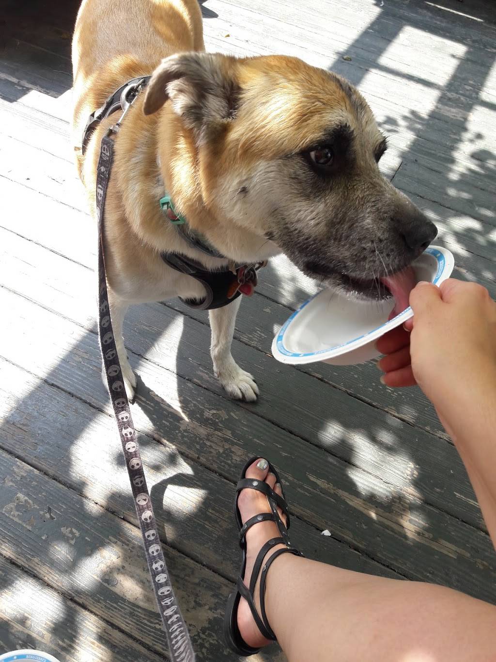 Ben & Jerry’s | bakery | 312 Daniel Webster Hwy, Meredith, NH 03253, USA | 6032792200 OR +1 603-279-2200