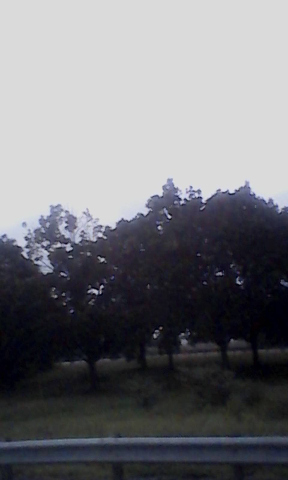 Joanns Kitchen | restaurant | 3372 US-378, Conway, SC 29527, USA | 8433975858 OR +1 843-397-5858