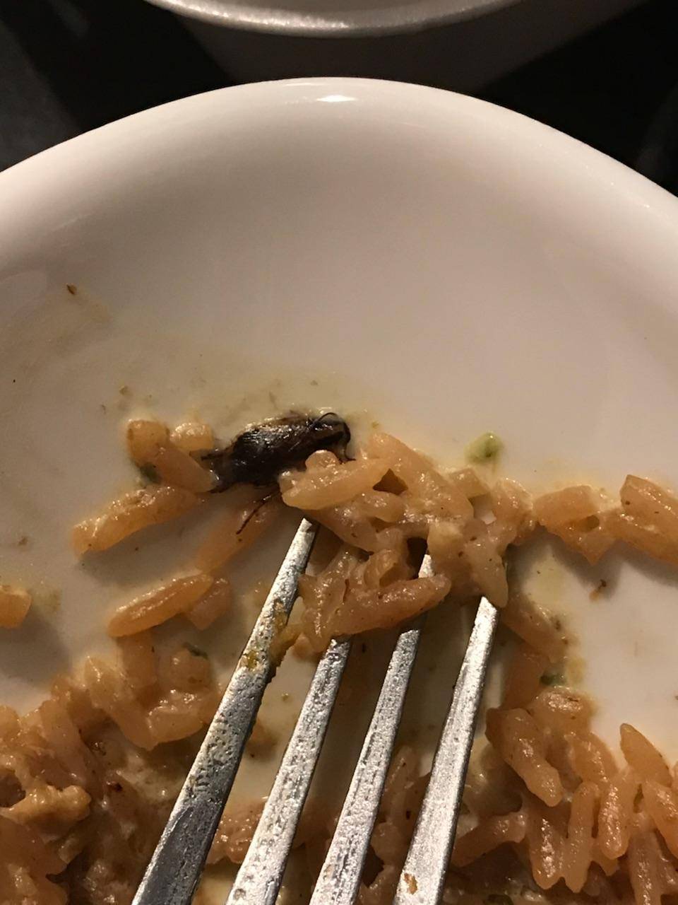 Asian Table | restaurant | 2950 Buford Hwy, Cumming, GA 30041, USA | 7708878181 OR +1 770-887-8181