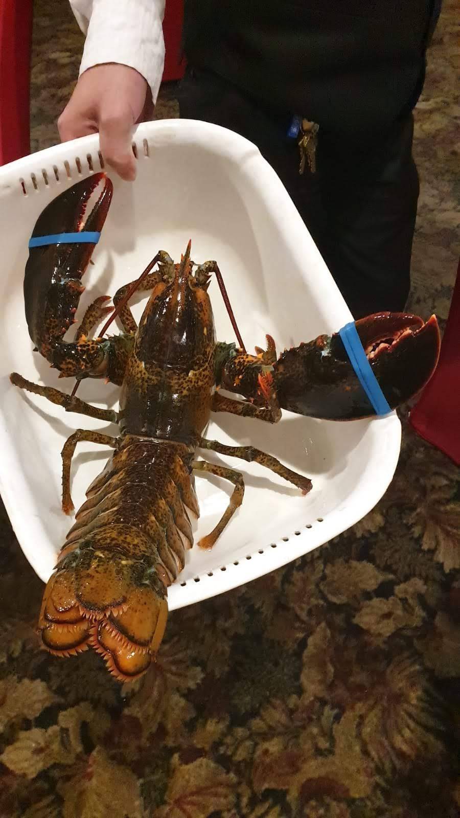 King Harbor Seafood Restaurant | restaurant | 13018 Harbor Blvd, Garden Grove, CA 92843, USA | 7146369103 OR +1 714-636-9103