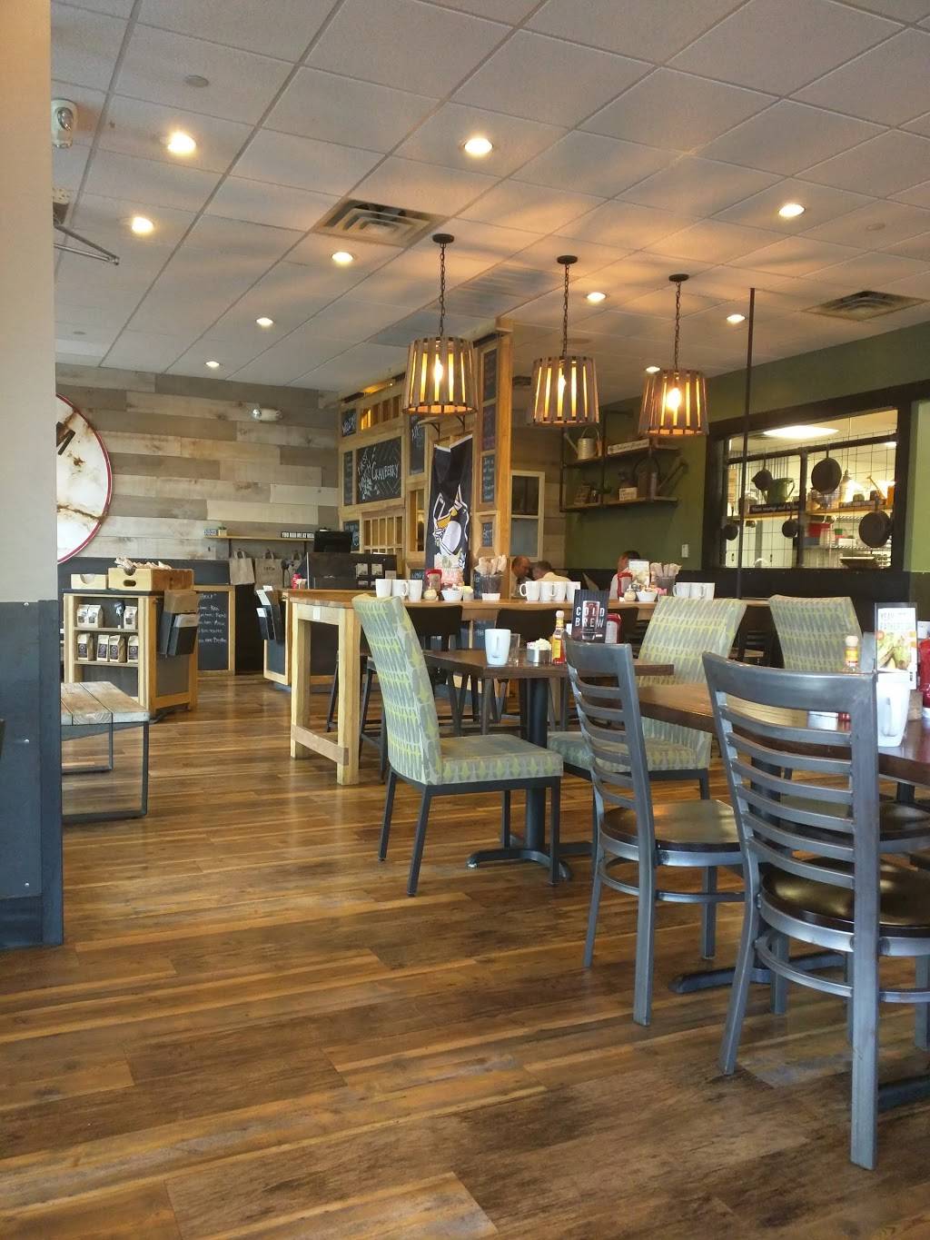 First Watch - Cranberry | restaurant | 20424 Rte 19 Suite 420, Cranberry Twp, PA 16066, USA | 7247410581 OR +1 724-741-0581