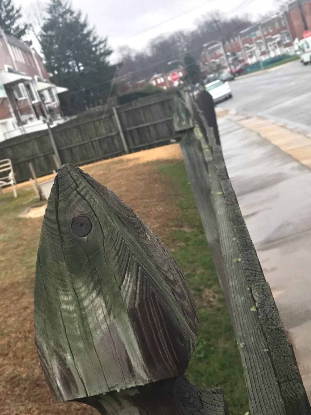 Philly Pretzel Factory | bakery | 625 MacDade Boulevard, Folsom, PA 19033, USA | 6105221281 OR +1 610-522-1281