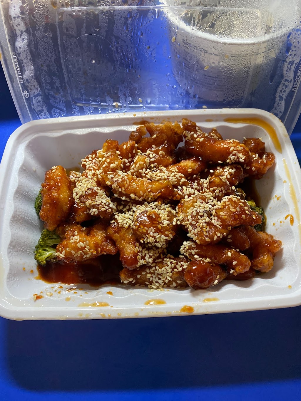 CHF Chinese Restaurant | restaurant | 5411 5th Ave, Brooklyn, NY 11220, USA | 9293355666 OR +1 929-335-5666