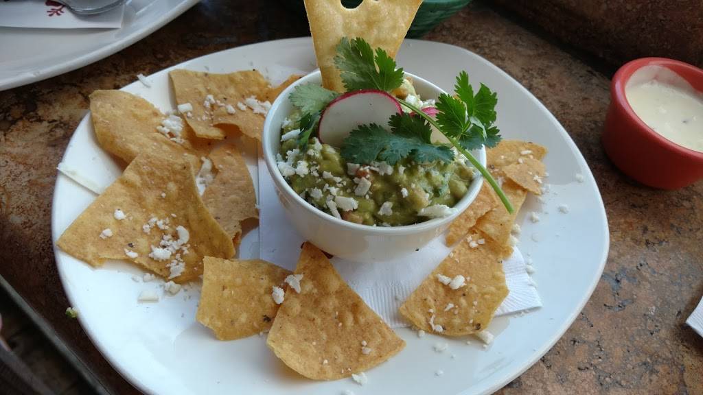 Miguels Cocina | restaurant | 2912 Shelter Island Dr, San Diego, CA 92106, USA | 6192242401 OR +1 619-224-2401