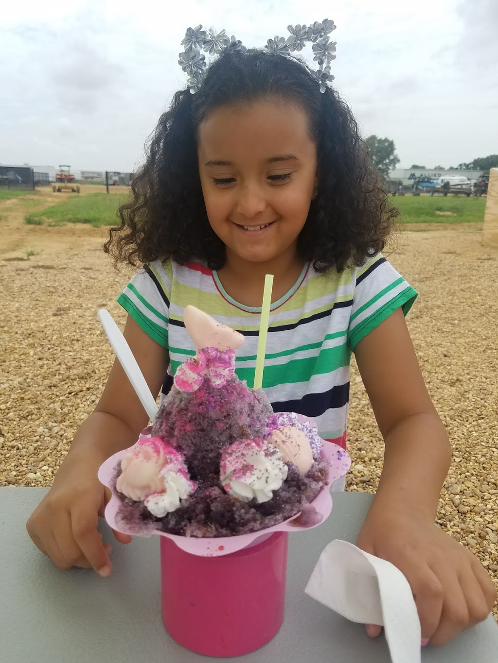 Snow Critters | restaurant | 1049 Gluckstadt Rd, Madison, MS 39110, USA | 6016241409 OR +1 601-624-1409