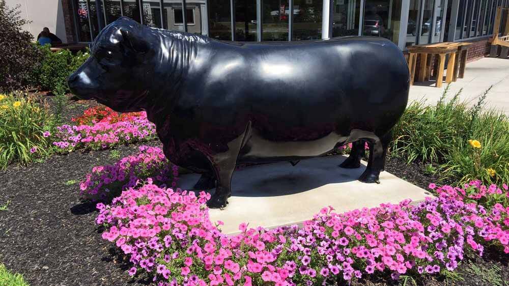 Fred the Butcher | restaurant | 1473 U.S. 9, Clifton Park, NY 12065, USA | 5183715333 OR +1 518-371-5333