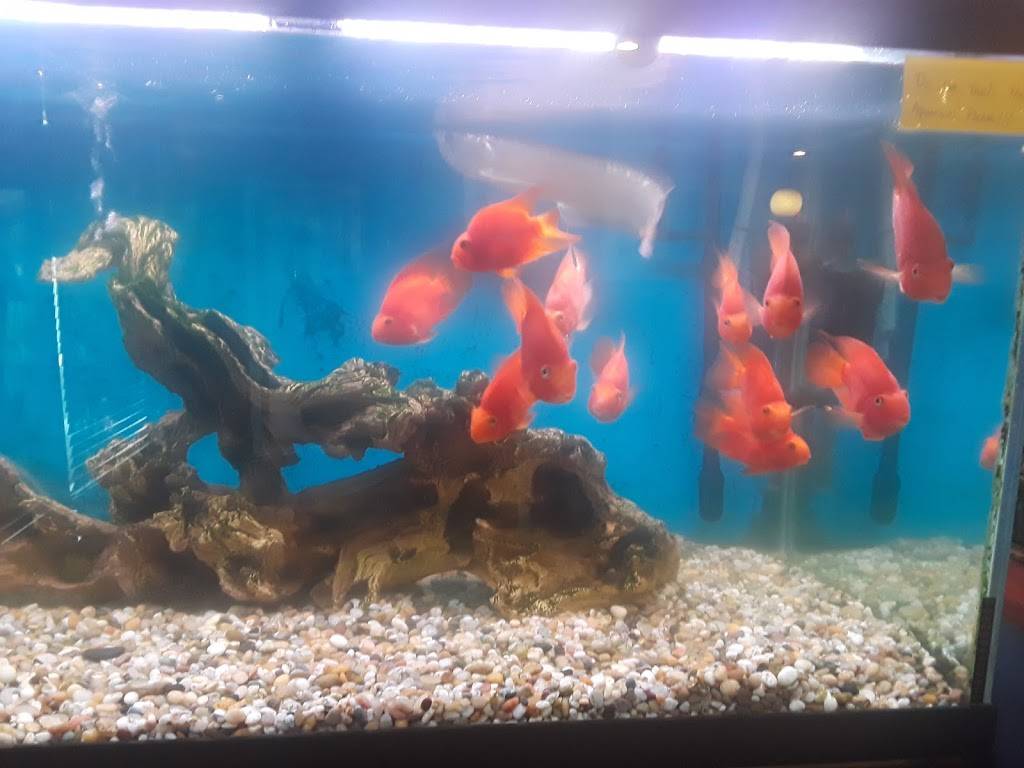 China Buffet | restaurant | 112 Academy Dr, Ripley, WV 25271, USA | 3043722393 OR +1 304-372-2393