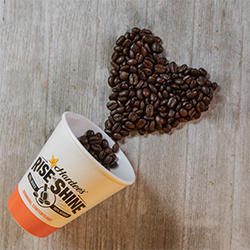 Hardees | restaurant | 1300 Monroe Ave, Norfolk, NE 68701, USA | 4023791393 OR +1 402-379-1393