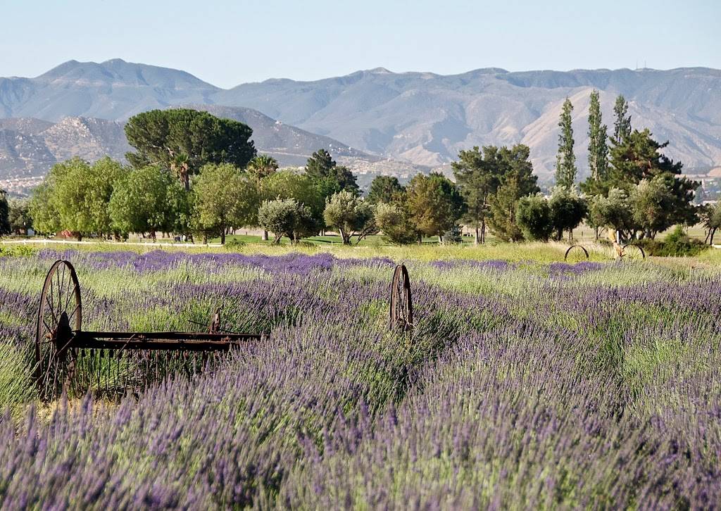 Highland Springs Ranch & Inn | restaurant | 10600 Highland Springs Ave, Cherry Valley, CA 92223, USA | 9518451151 OR +1 951-845-1151