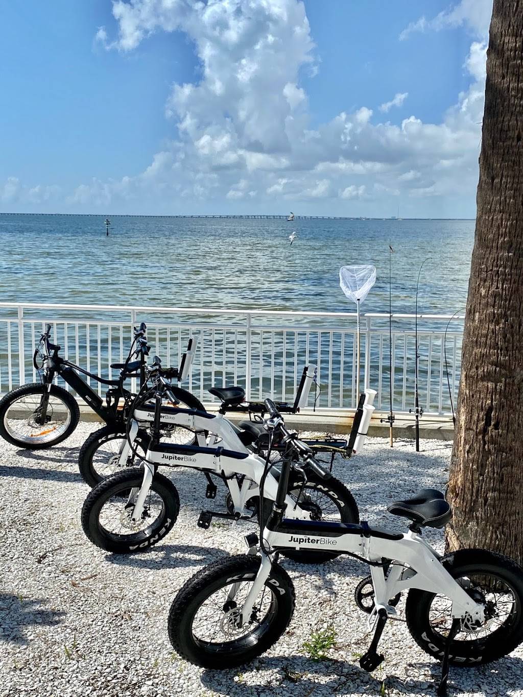 Sharkeys On The Bay Cafe | restaurant | 7740 W Courtney Campbell Causeway, Tampa, FL 33607, USA | 8139996414 OR +1 813-999-6414