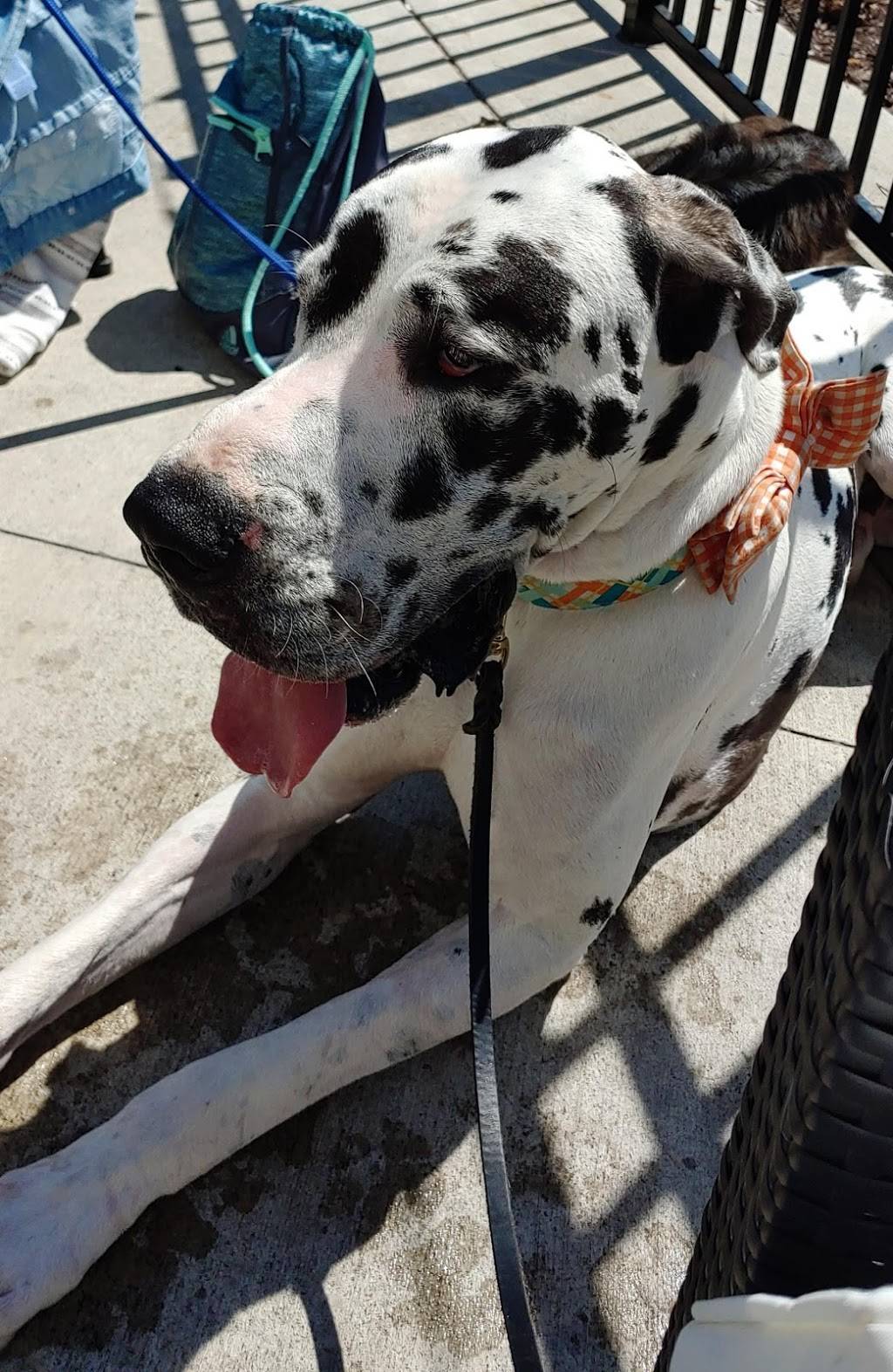 Alibi Drinkery | restaurant | 20851 Holyoke Ave, Lakeville, MN 55044, USA | 9526831711 OR +1 952-683-1711