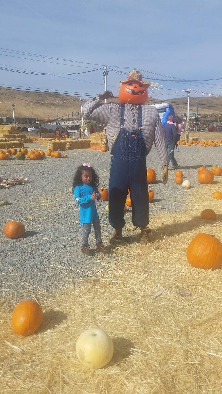 Jack in the Box | restaurant | 122 Los Altos Pkwy, Sparks, NV 89436, USA | 7753602618 OR +1 775-360-2618