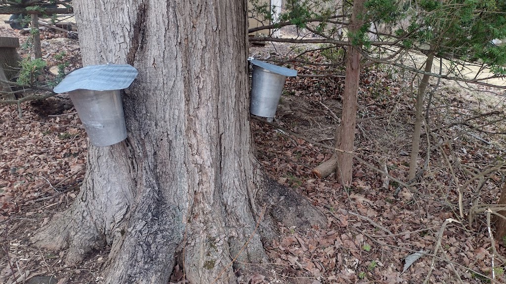 Hartland Sugar House | restaurant | 59 Hartland Terrace, Berlin, CT 06037, USA | 8604026667 OR +1 860-402-6667