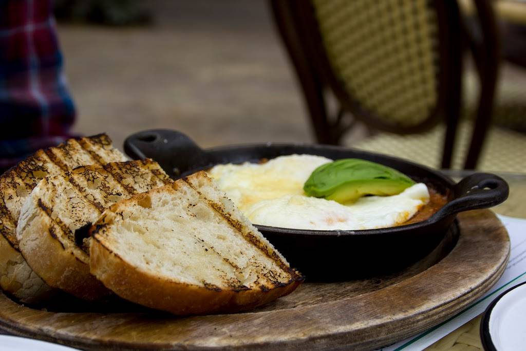 Tropicana Pool Cafe | restaurant | 7000 Hollywood Blvd, Los Angeles, CA 90028, USA | 3234667000 OR +1 323-466-7000