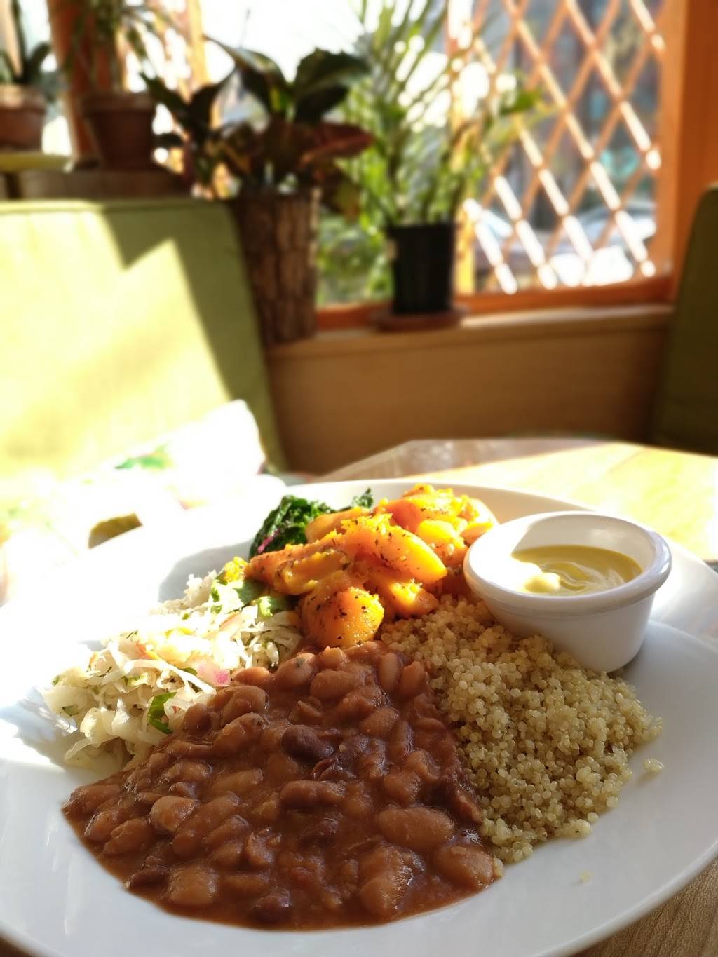 Jungle Cafe | restaurant | 131 Greenpoint Ave, Brooklyn, NY 11222, USA | 3479874981 OR +1 347-987-4981