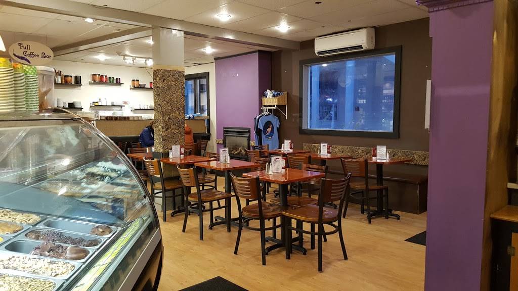 Purple Feather Cafe & Treatery | meal takeaway | 334 Commercial St, Provincetown, MA 02657, USA | 5084879100 OR +1 508-487-9100