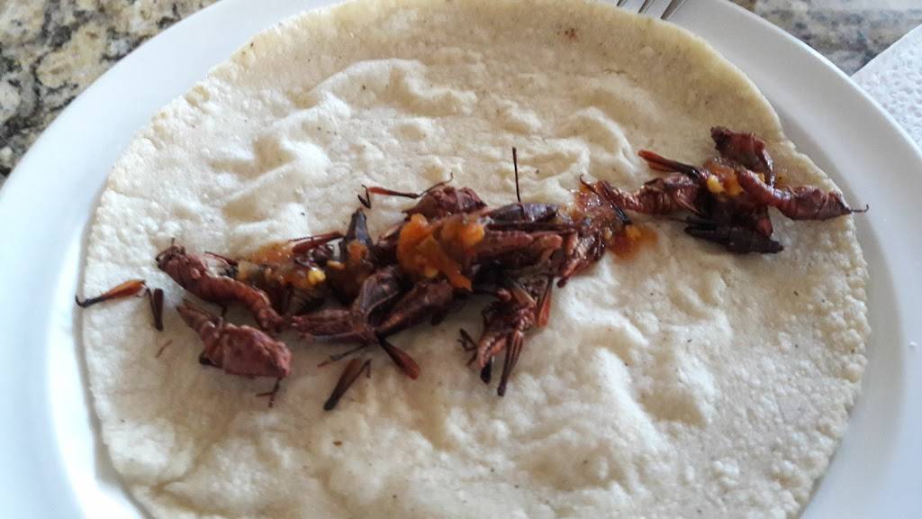 La Flor de Oaxaca | restaurant | Blvrd Gral Rodolfo Sánchez Taboada 10512, Zona Urbana Rio Tijuana, 22010 Tijuana, B.C., Mexico | 016642002549 OR +52 664 200 2549