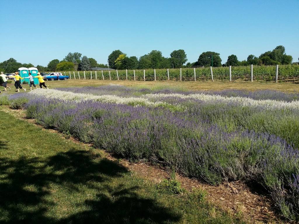 North 42 Degrees Estate Winery & Bistro 42 | restaurant | 130 Essex County Rd 50, Harrow, ON N0R 1G0, Canada | 5197386111 OR +1 519-738-6111