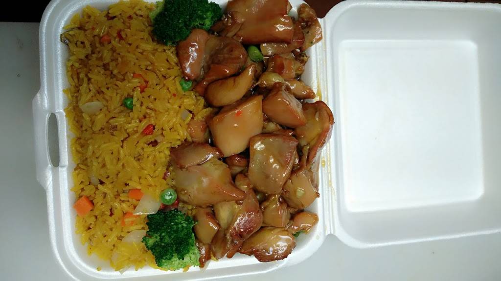 Jade Garden | restaurant | 2626 W Hillsborough Ave, Tampa, FL 33614, USA | 8138019331 OR +1 813-801-9331
