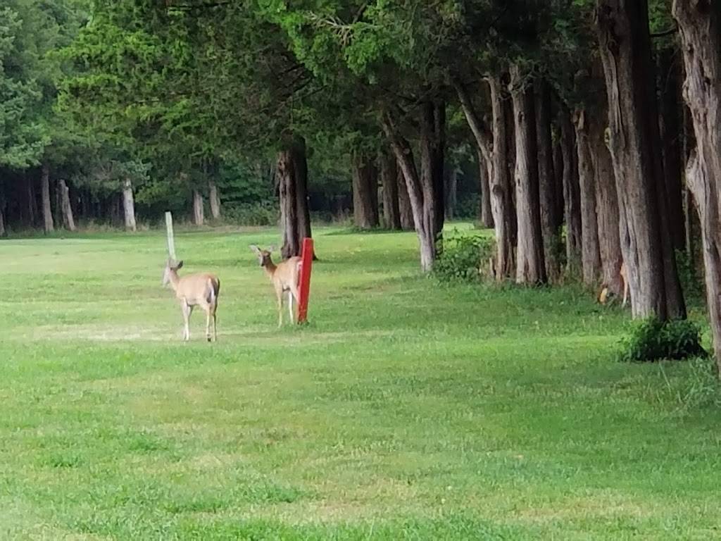 Ocean County Golf Course at Atlantis | restaurant | 261 Country Club Blvd, Little Egg Harbor Township, NJ 08087, USA | 6092962444 OR +1 609-296-2444