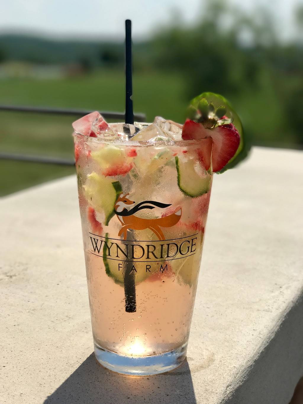 Wyndridge Farm | restaurant | 885 S Pleasant Ave, Dallastown, PA 17313, USA | 7172449900 OR +1 717-244-9900