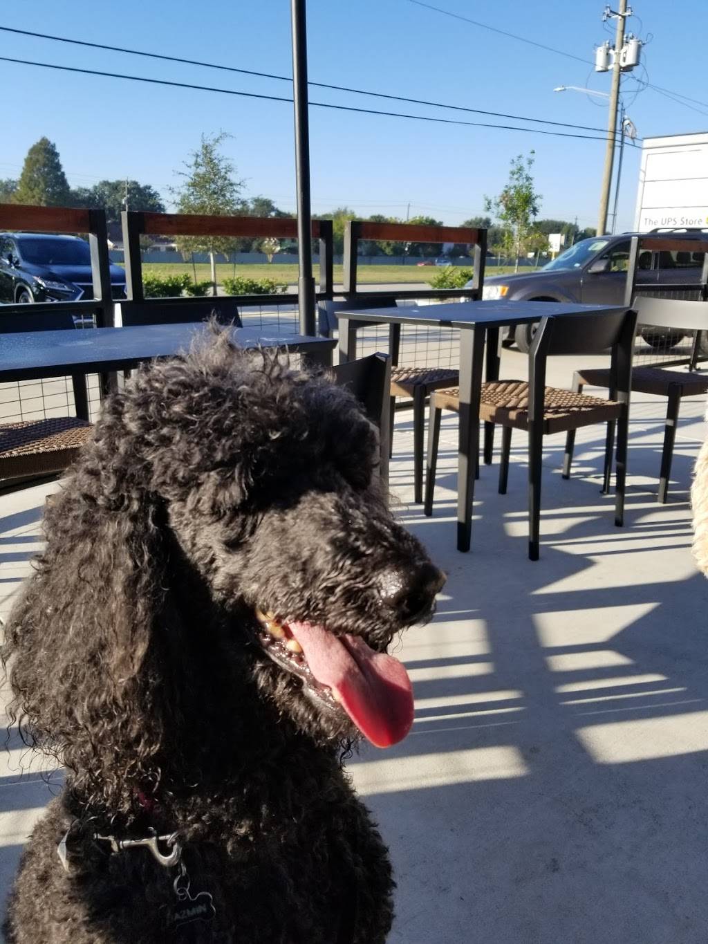 Starbucks | cafe | 6451 Fairmont Pkwy, Pasadena, TX 77505, USA | 2819918339 OR +1 281-991-8339