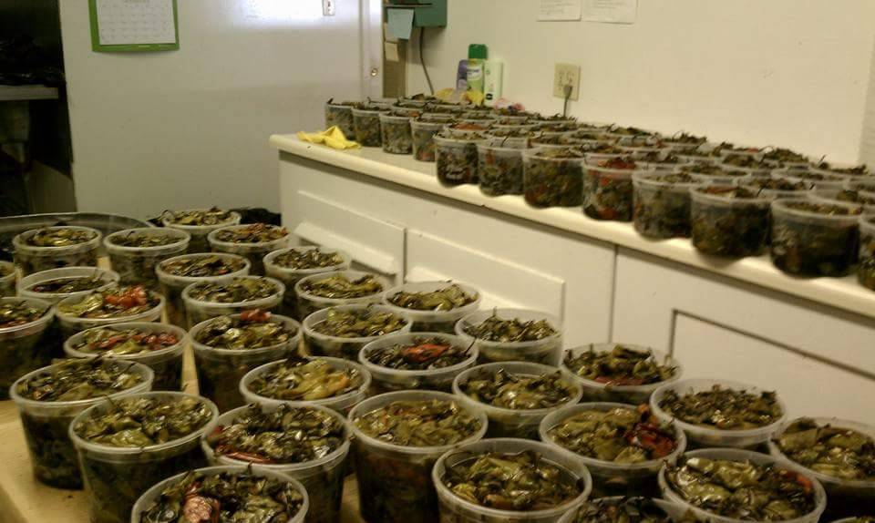 Circle T Burger | restaurant | 698 E River Rd #620, Belen, NM 87002, USA | 5058642929 OR +1 505-864-2929