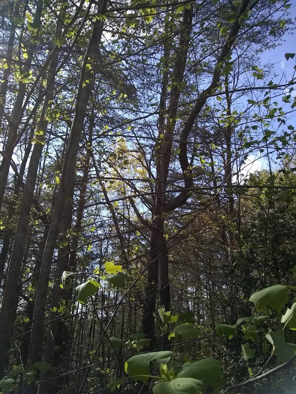 Tough Enough Rodeo Company | restaurant | 3187 Oran Yount Ln, Granite Falls, NC 28630, USA | 8287294400 OR +1 828-729-4400