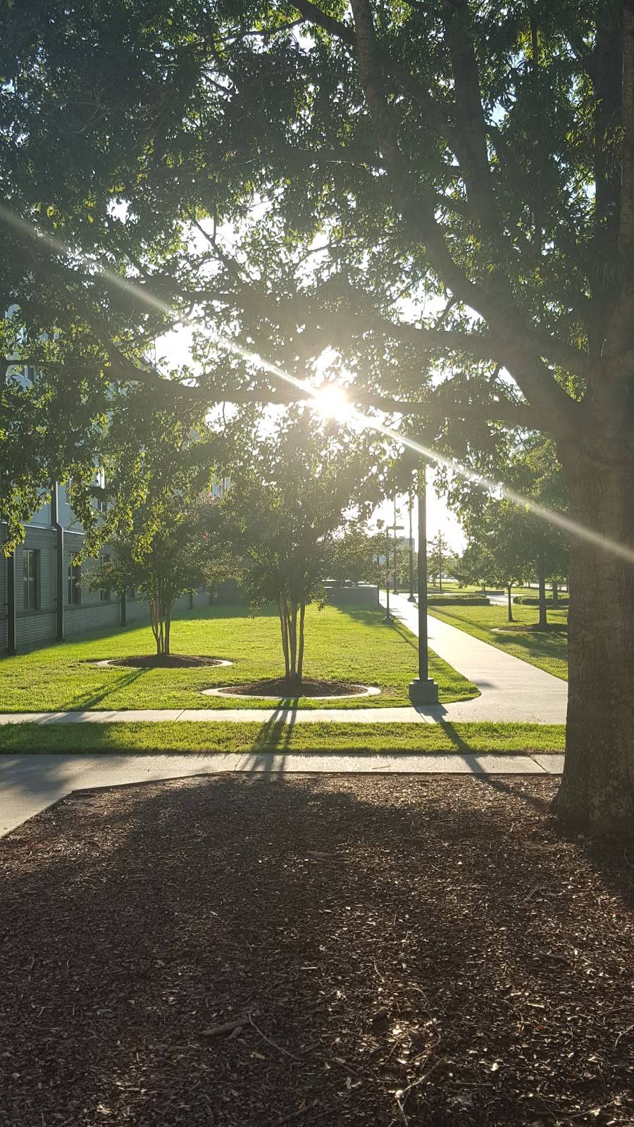 Magnolia Dining Facility | restaurant | 7404 Falcon St, Biloxi, MS 39534, USA | 2283774368 OR +1 228-377-4368