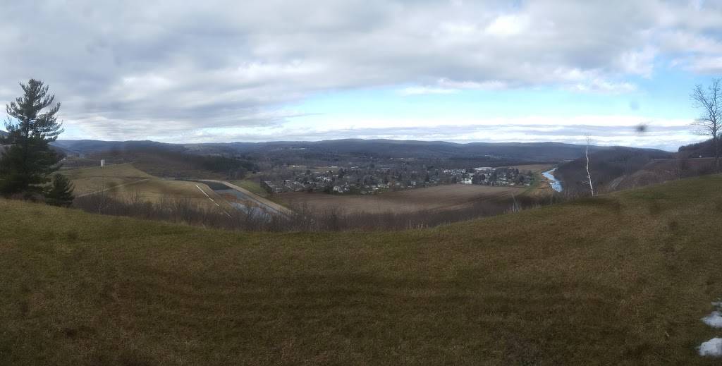 Subway | restaurant | 184-186 N Genesee St, Utica, NY 13502, USA | 3157330066 OR +1 315-733-0066