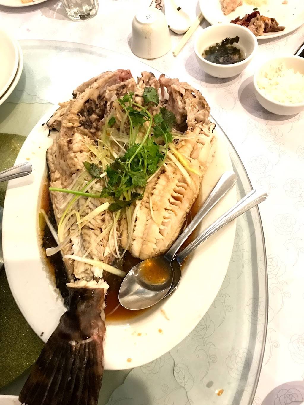 Hong Kong Restaurant | restaurant | 3691 El Camino Real, Palo Alto, CA 94306, USA | 6502519062 OR +1 650-251-9062