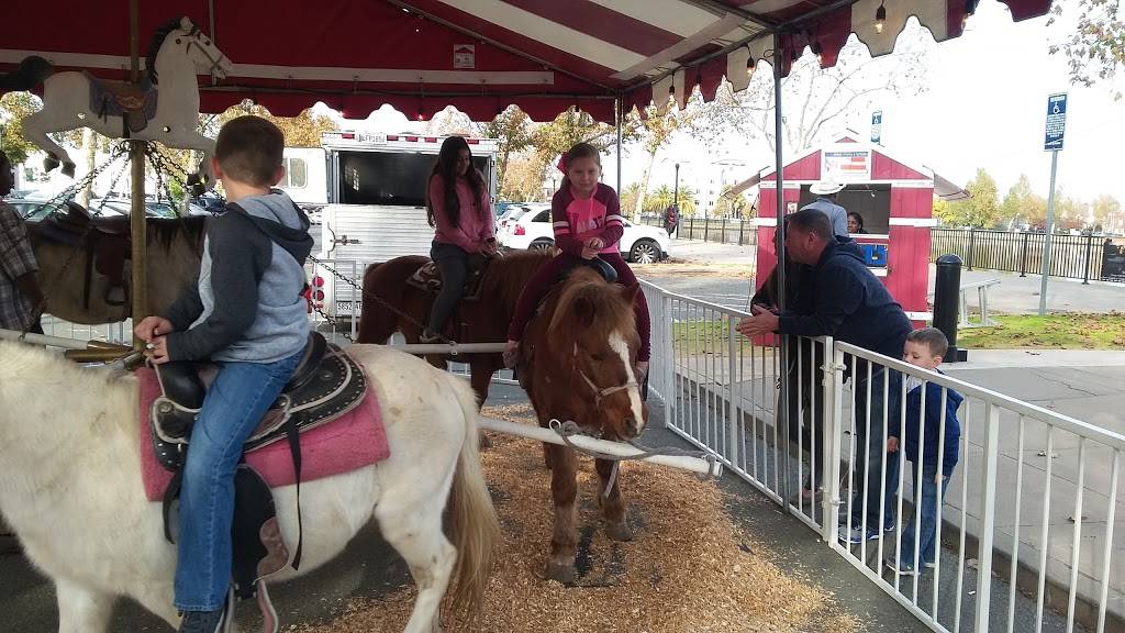 Vinny & Rosies | restaurant | 603 Main St, Suisun City, CA 94585, USA | 7078035404 OR +1 707-803-5404