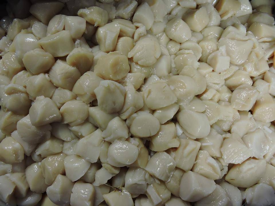 Liberty Lobster | restaurant | 35 Homers Wharf, New Bedford, MA 02740, USA | 5089974500 OR +1 508-997-4500