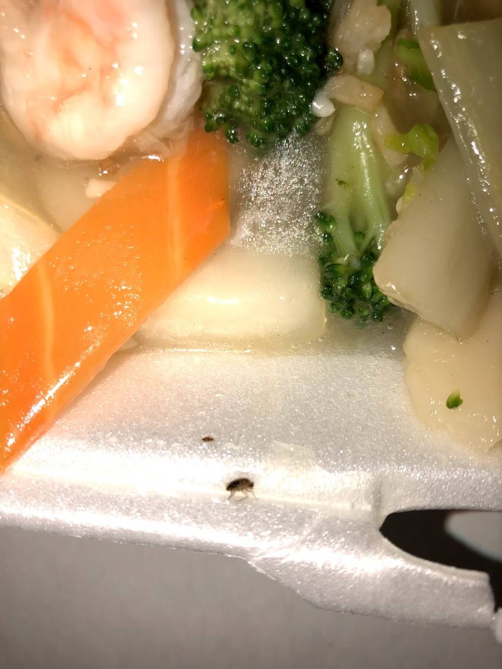 Chens Garden | restaurant | 3912 W North Ave, Chicago, IL 60647, USA | 7732525599 OR +1 773-252-5599