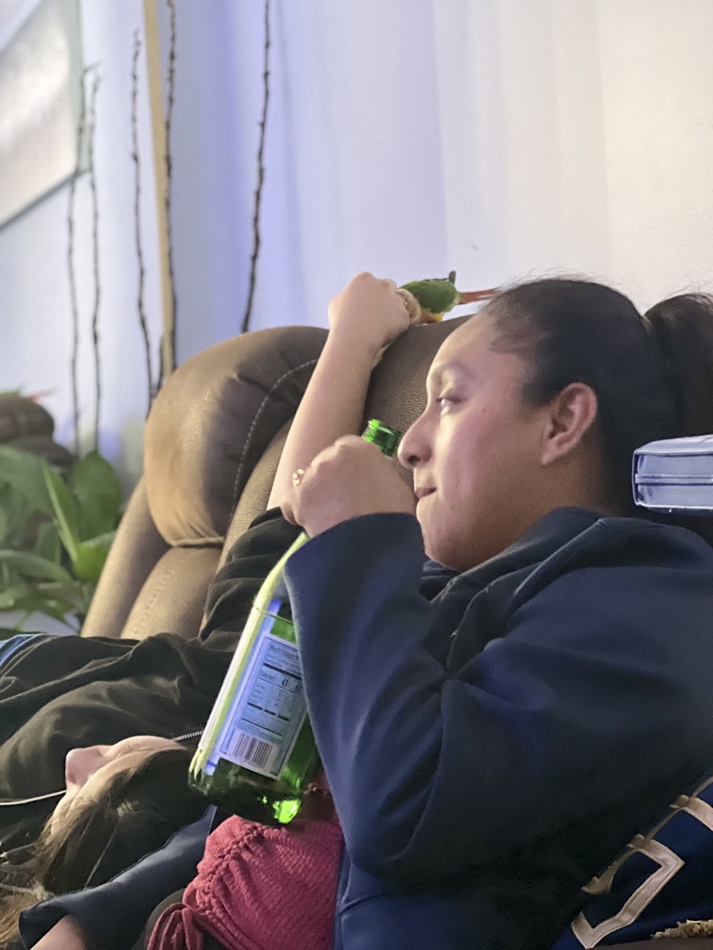 Taqueria la poblanita | restaurant | 5316 Mt View Rd, Antioch, TN 37013, USA | 6159647545 OR +1 615-964-7545